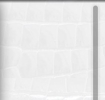 �W(w��ng)վ�o�L���l�OӋ